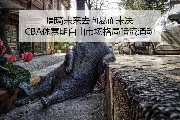周琦未来去向悬而未决 CBA休赛期自由市场格局暗流涌动