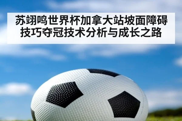 苏翊鸣世界杯加拿大站坡面障碍技巧夺冠技术分析与成长之路